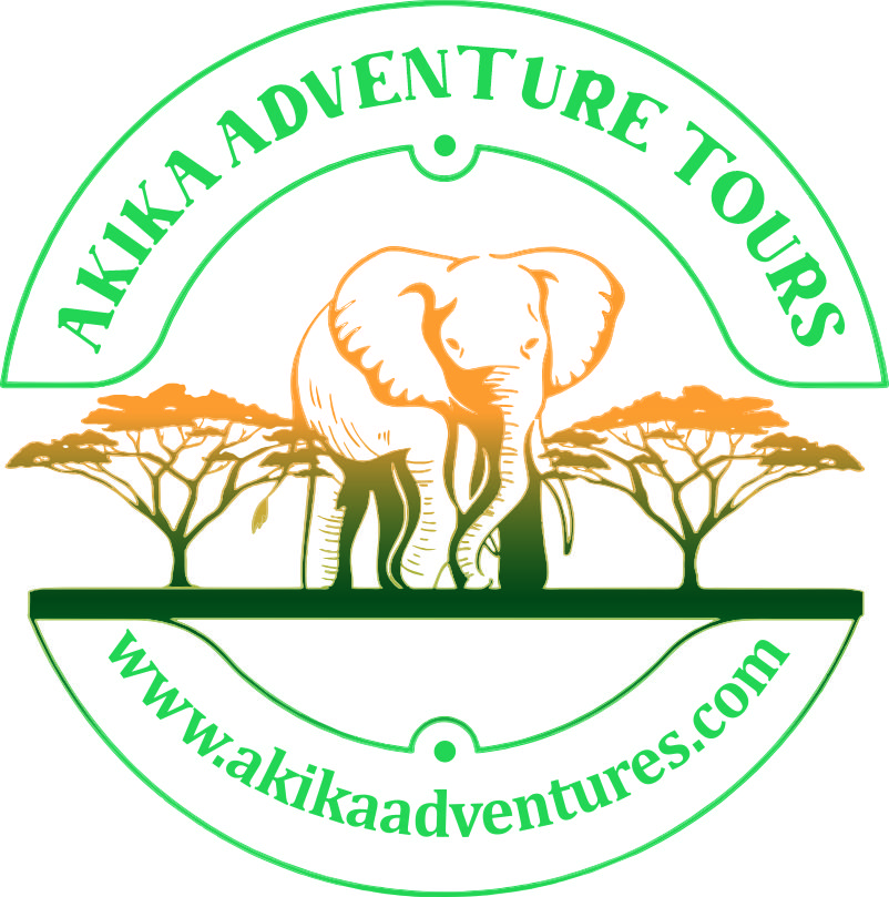 akika HTML Template